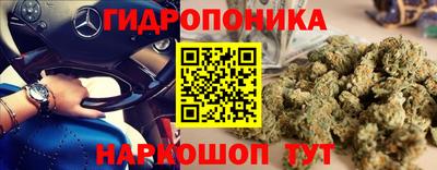 jwh Сланцы