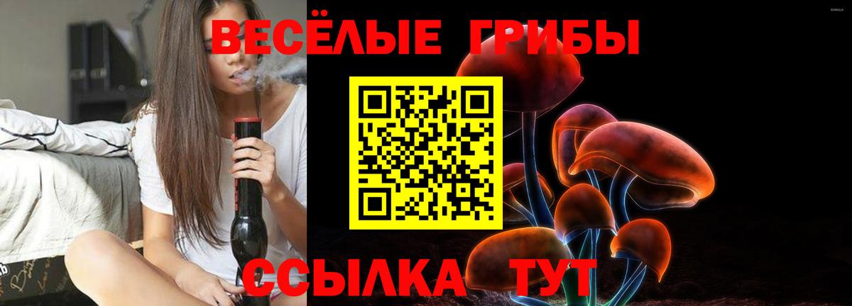 Нефтекумск  Псилоцибиновые грибы Magic Shrooms  Галлюциногенные грибы GOLDEN TEACHER  Вход с VPN 